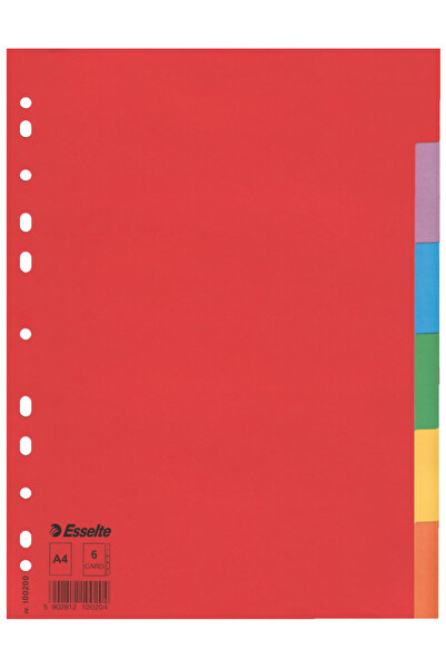 MC Micostore Separatoare index carton 6 culori economy esselte