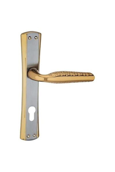 Generic Yuksel Door Handle Pair on Backplate with Euro Cylinder Keyhole, Turk...