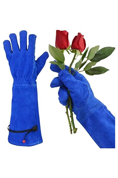 Generic Cactus Gloves, Thorn Proof Gardening Gloves, Leather Garden Work Glov...