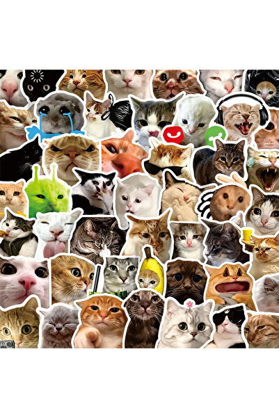 Choice 100PCS 100PCS Funny Cat Meme Cartoon Stickers DIY Laptops Water Bottle...