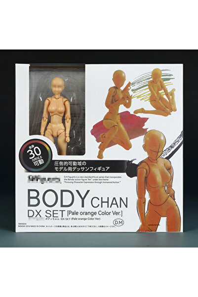 Choice Bandai Girl with box Sketch Draw Male Female Movable Body Kun Body Cha...