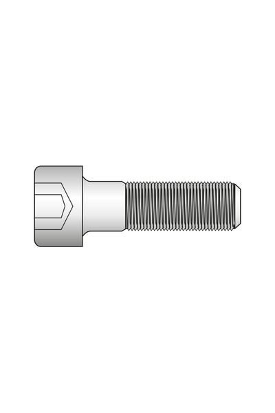 Rocast Surub Cap Inbus 912 Otel Gr.8.8 Zincat-M24 X 300