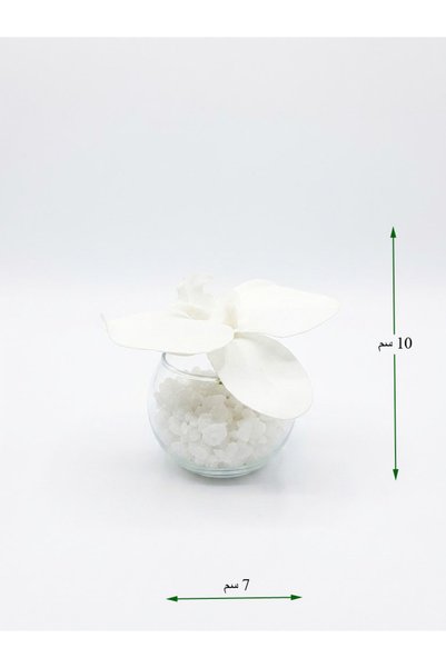 co arma Artificial Orchid Flower in Glass Vase with White Pebbles, Small Size 10cm Tall and 7cm in Diameter.