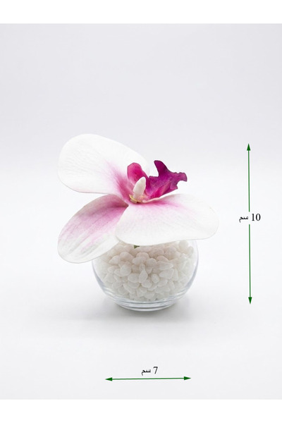 co arma Artificial Orchid Flower in Glass Vase with White Pebbles, Small Size 10cm Tall and 7cm in Diameter.