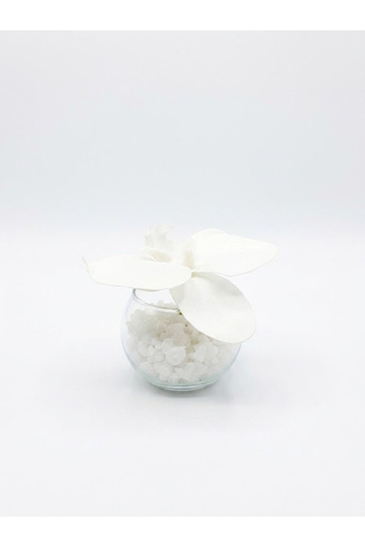 co arma Artificial Orchid Flower in Glass Vase with White Pebbles, Small Size 10cm Tall and 7cm in Diameter.