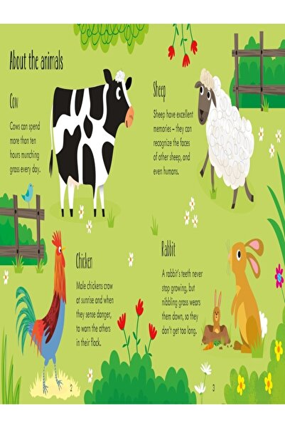 Usborne Publishing Animal Matching Games and Book