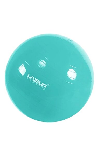 OEM Minge de fitness gonflabilă pentru întărirea mușchilor, ExerciseBall, 65 ...
