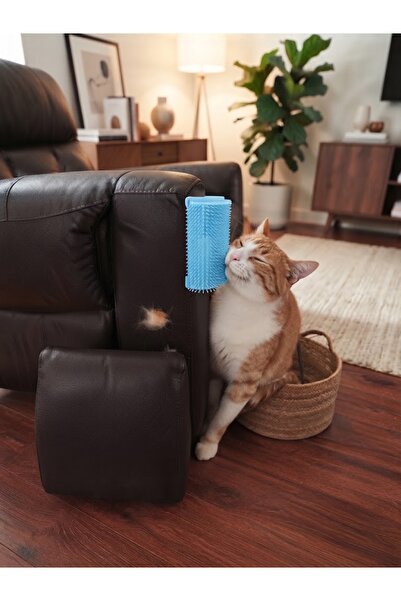 kedi tüy kaşıyıcı aparat mavi