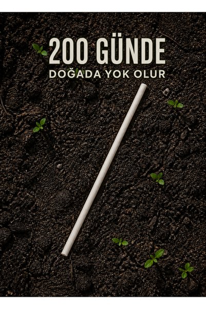ardin Biodegradable Frozen Straws That Dissolve in Nature – 24 Cm, 8 Mm, Corn Starch Based – 100 Pieces