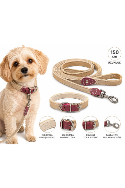 Baron Pet Küçük Irk Köpek Deri Boyun Tasması ve Gezdirme Kayışı Seti 150 cm -...