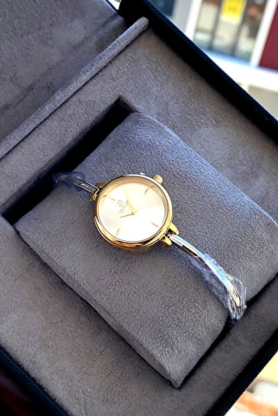 Homies Women's wristwatch with 2 years guarantee steel cord boxed waterproof