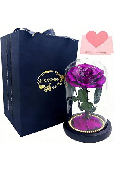 MOONMEN Mon Min Red Rose Preserved in Glass Dome with Led Lights, Real Flower...