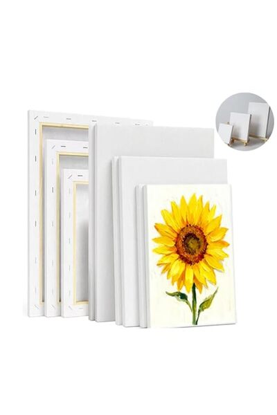ALAYRA International Signtouch Boards Drawing Projects Artist Canvas Board Se...