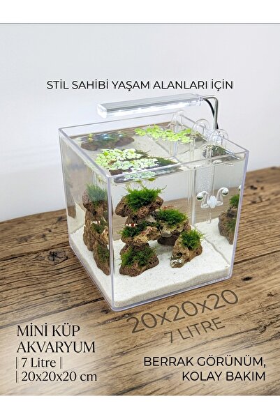 Berliva Home 20x20x20 cm Mini Küp Akvaryum - 7 Litre Berrak Akrilik / Cam Nan...