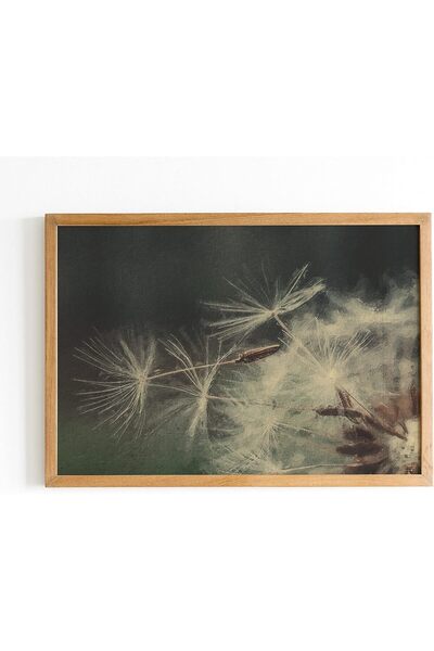 ALAYRA International Signtouch Vintage Dandelion Canvas Wall Art Outer Frame ...