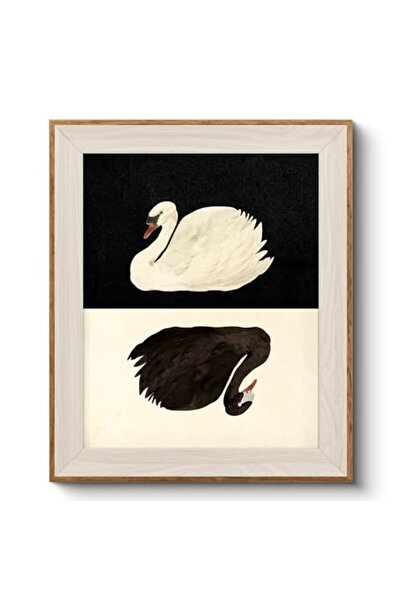 ALAYRA International Signtouch Swan Vintage Animal Rustic Nature Canvas Wall ...