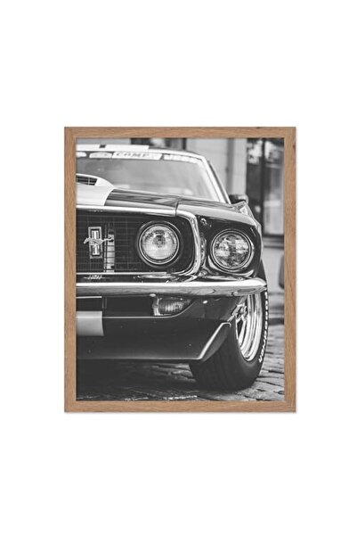 ALAYRA International Signtouch Classic Vehicle Display Wall Art Natural Wood ...