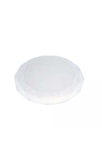FOXMAG24 LED wall light 24W, cool white 6400K, voltage 185-265V, compact whit...