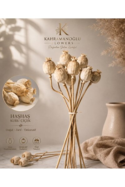 KAHRAMANOGLU FLOWERS haşhaş