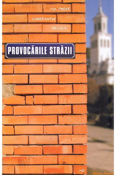 SILUANA Provocarile strazii - Constantin Necula