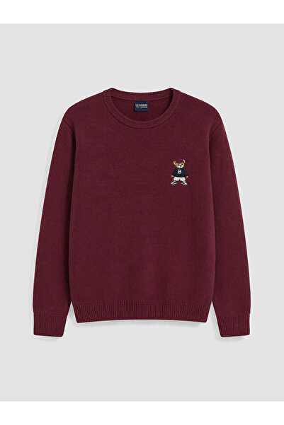 LC Waikiki Xside Red Crew Neck Bear Teddy Printed Men's Knitwear Sweater