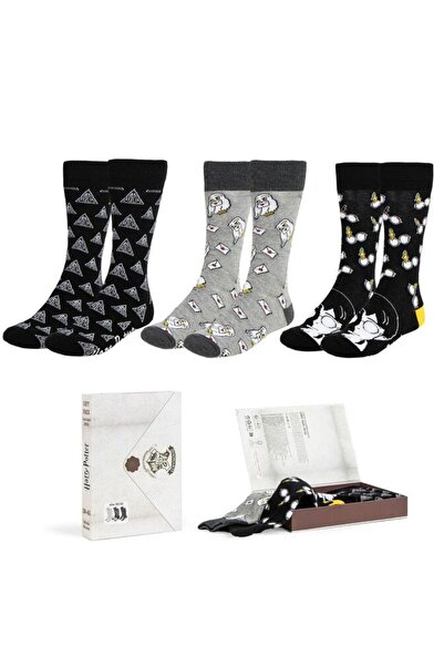 Cerda Harry Potter pack 3 adult socks