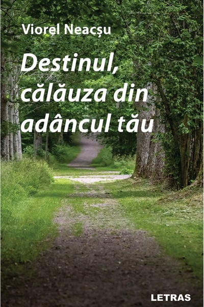 Letras Destinul, calauza din adancul tau - Viorel Neacsu