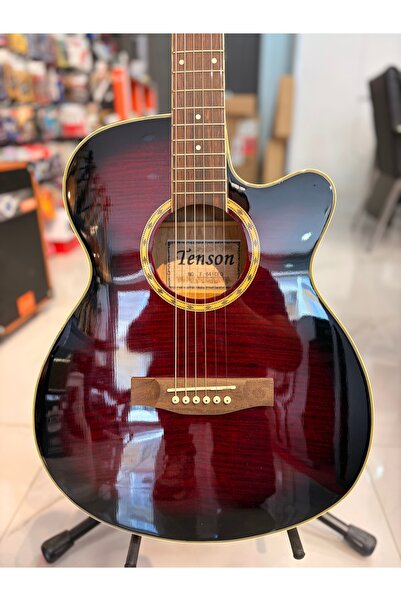 Genel Markalar Tenson Profesyonel Elektro Akustik Sahne Gitarı ( kılıf pena H...