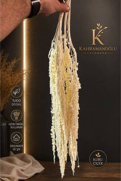 KAHRAMANOGLU FLOWERS Gerçek Amarantus