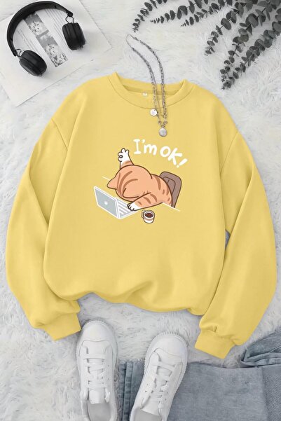 Oksit BS Zbogom, umorna mačka, majica s printom, unisex, dvonitna rasterska m...