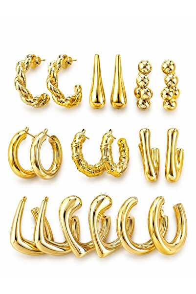 CHARMLUCKY Multiple (9 Piece) Earring Set