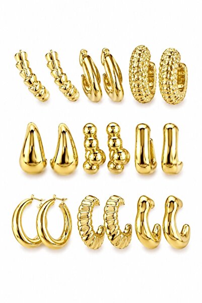 CHARMLUCKY Multiple (9 Piece) Earring Set