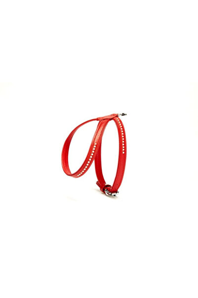 pınaxar Stoned Leather Dog Collar 1.2 X 25-35 cm Red