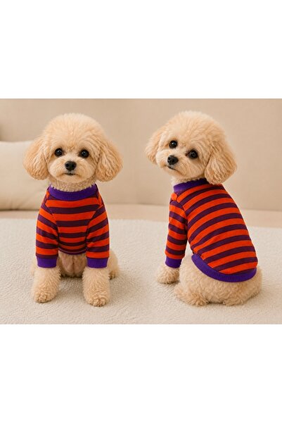 atelyu Dog and Cat Orange Purple Striped Thin Sweatshirt