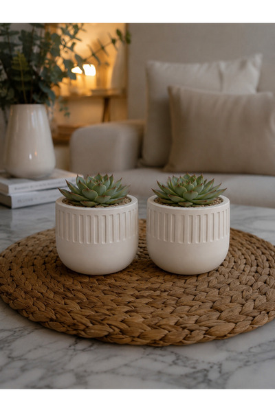 Beton Saksı Orta Boy 2'li Set (Çiçekler Dekor Amaçlıdır)