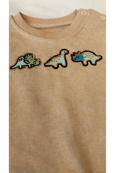 BENBİLGE Baby Boy Dinosaur Embroidered 3 Thread Washable Non-Padded Sweatshirt Pants 2-Piece Tracksuit Set
