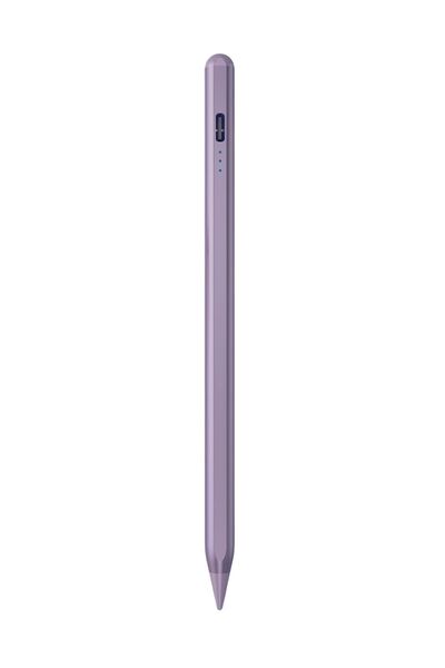 Fuchsia Ipad Stylus Kalem Eğim Hassasiyetli Avuç Içi Redli 2018-2026 Için For...