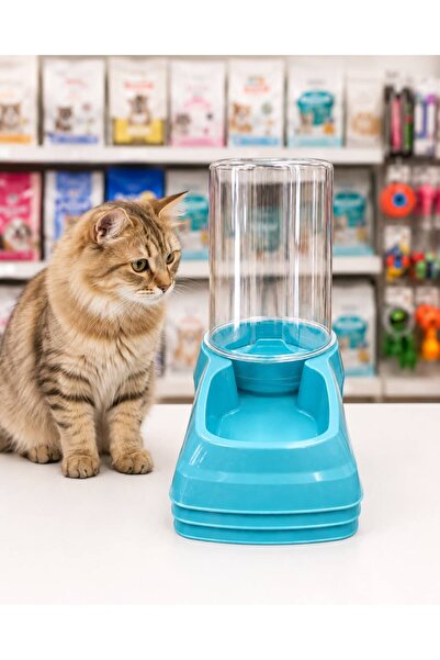 Kedi Su