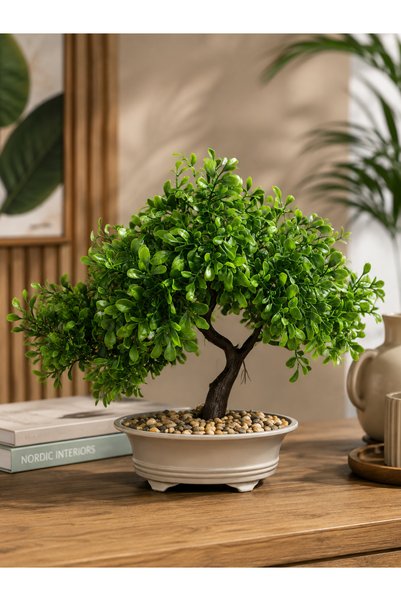 A&N Florya Vadi Yapay Bonsai Ağacı 25-35 cm Dekoratif Saksılı Yapay Ağaç Salo...