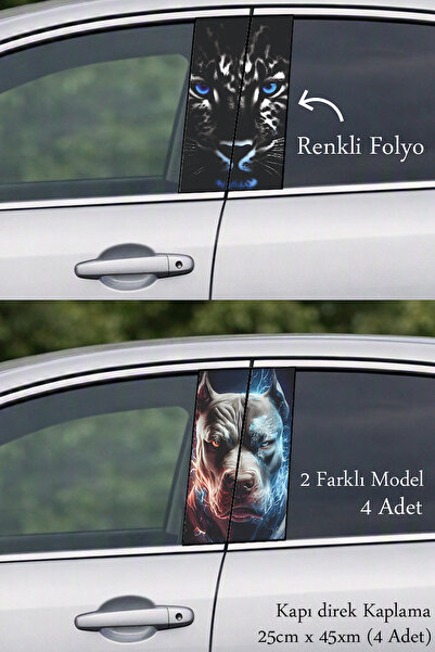 Automod Post-Coating Foil Printing That Adds a Prestigious Look to Your Vehicle