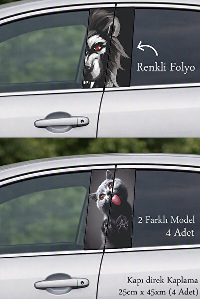 Automod Post-Coating Foil Printing That Adds a Stylish Touch to the Vehicle