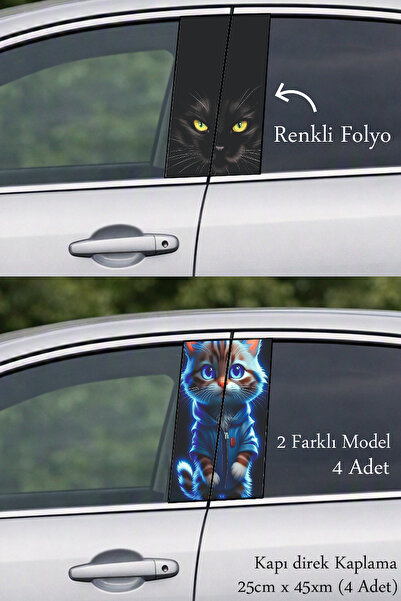Automod Aesthetic Touch to the Vehicle Style: Direct Plating Foil Printing