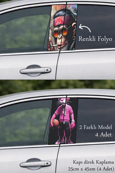 Automod Auto Door Trim Cover That Gives Your Vehicle a Different Look