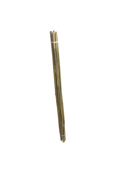 Strend Pro Set de 10 țăruși de bambus KBT 600/8-10 mm