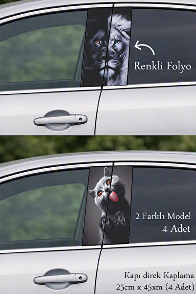 Automod A Special Look for Your Vehicle Direct Coating Foil Printing