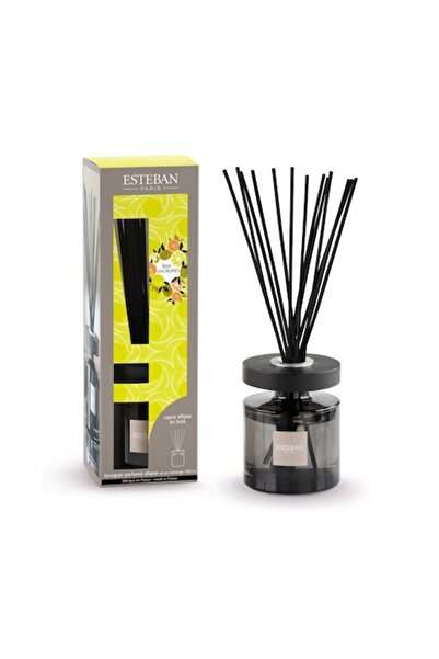 Esteban Paris Difuzor de parfum Ellipse Terre D'agrum, Rezervă 150ml, Esteban...