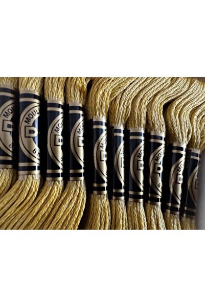 Dmc Ata pentru brodat Mouline Special DMC, jurubita 8m, 834