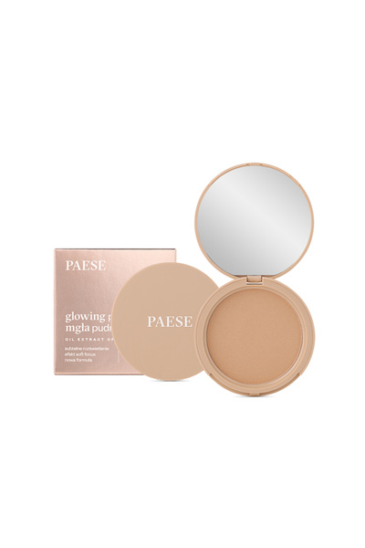 PAESE Pudră luminoasă - 13 Auriu Bej 10g