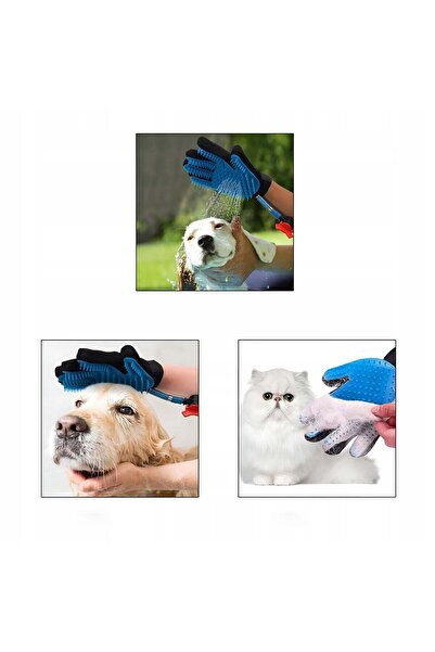 Generic Glove for washing and massaging animals, 2.5m hose with 3 adapters