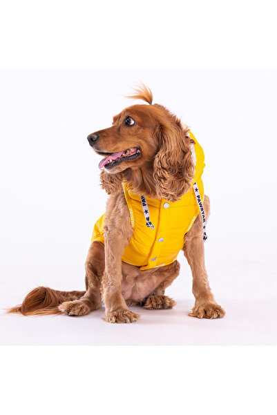 Pawstar Sarı Railway Yelek Köpek Yeleği Köpek Kıyafeti Köpek Yağmurluk